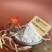 VÔI BỘT - CaO 70-95%
